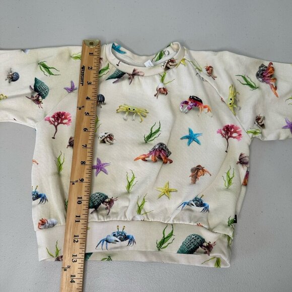 Molo Baby Disc Hermit Crab Sweatshirt Size 92 US 2 Yrs - Picture 3 of 7
